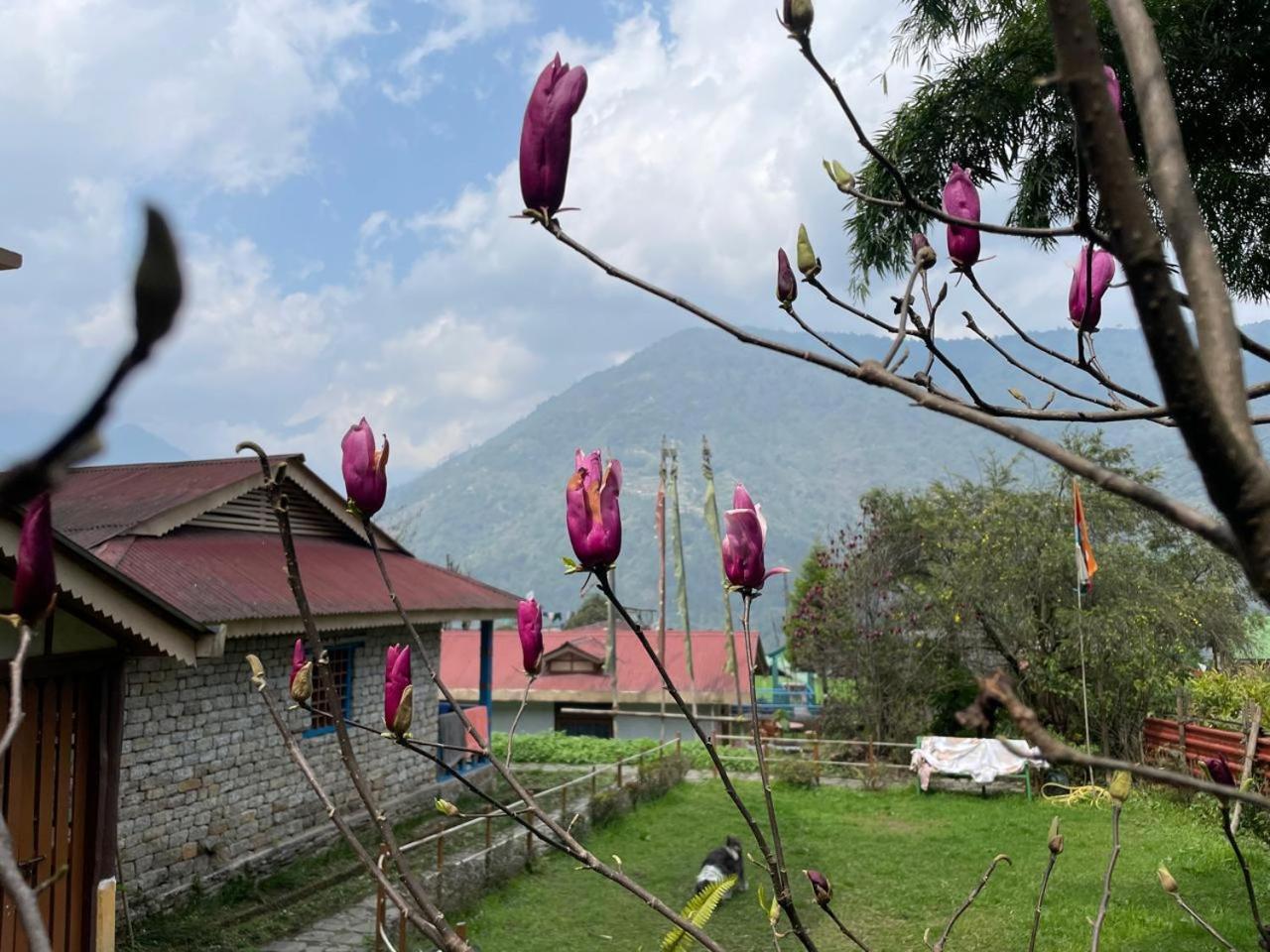 Daragaon Retreat Apartamento Pelling Exterior foto